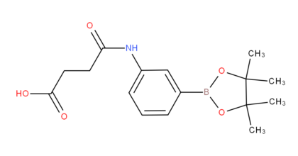 3-Succinamidophenylboronic acid, pinacol ester